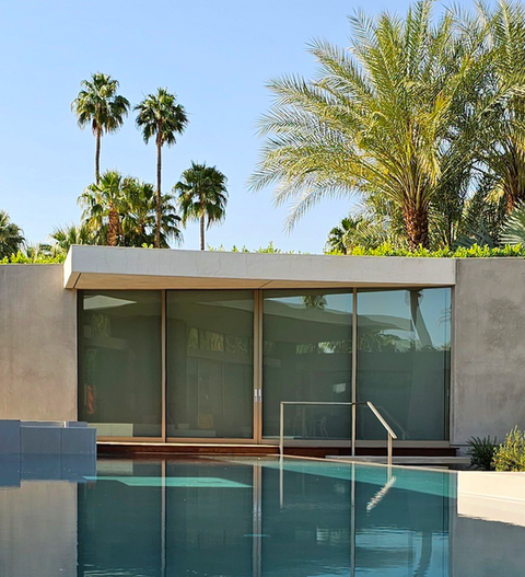 Modern building with large windows next to a pool and palm trees.