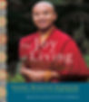 The Joy of Living- Mingyur Rinpoche