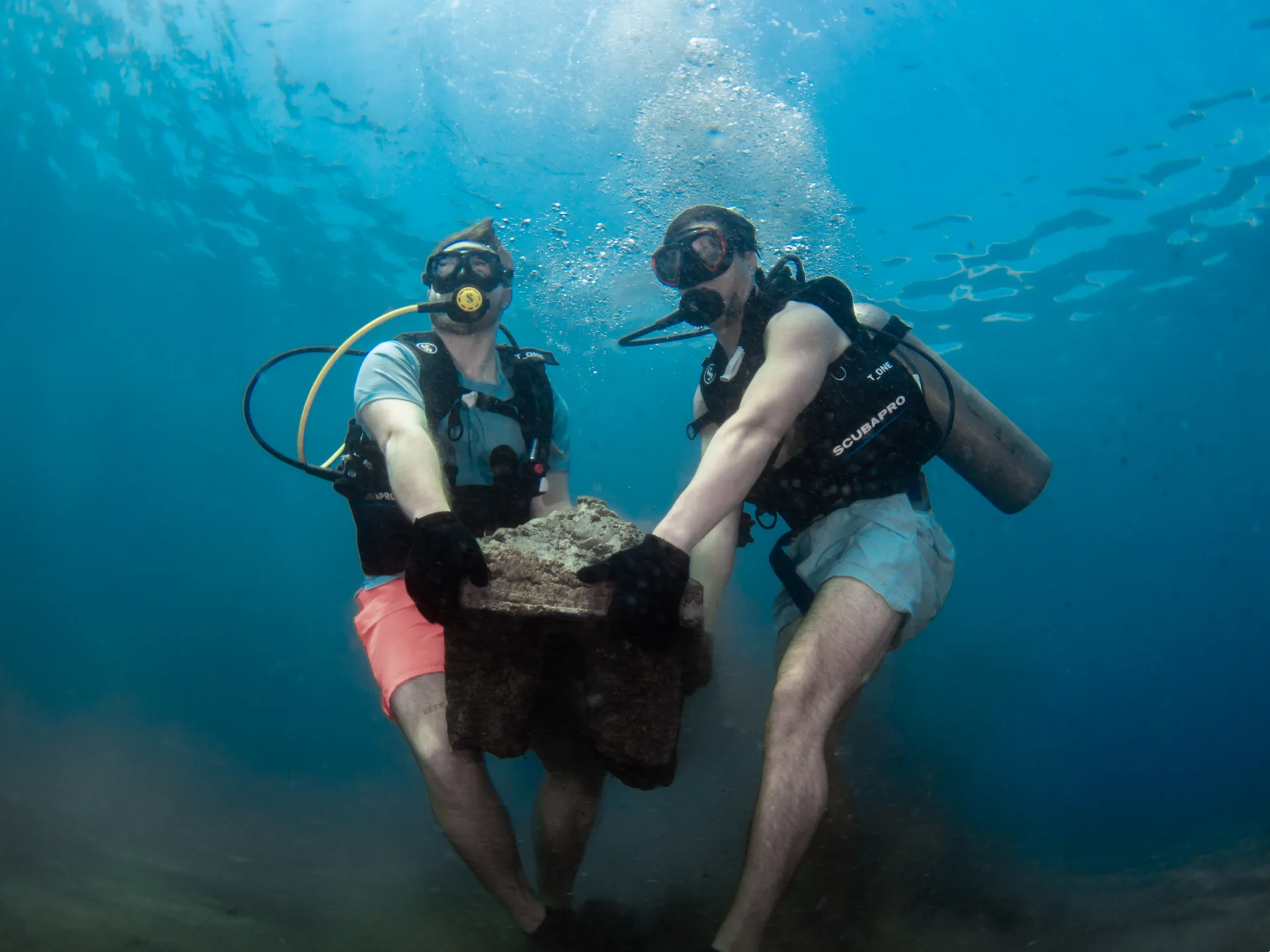 reef-restoration-program.webp