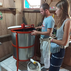 Voluntariado_Internacional_VidaEdu_Costa_Rica_Proyecto_Agricultura_Esparza.jpg