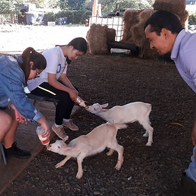 Voluntariado_Internacional_VidaEdu_Costa_Rica_Proyecto_Agricultura.jpg