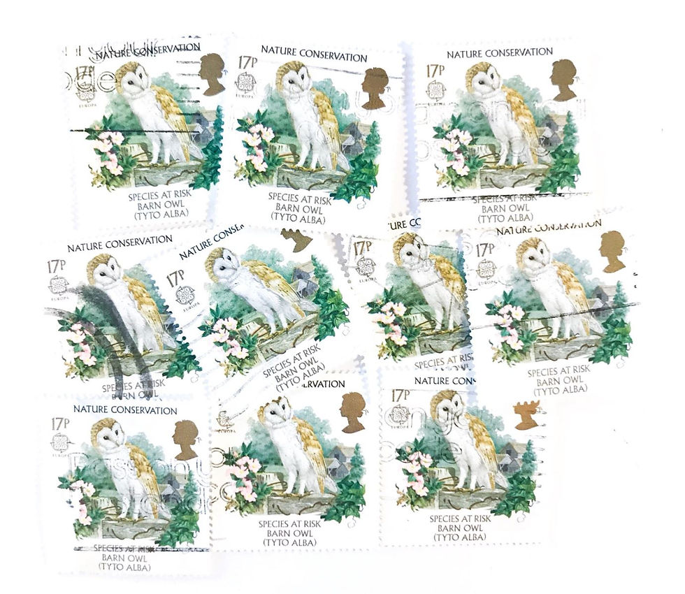 10 x Barn Owl, used, GB postage stamps all off paper - 1986 Nature Conservation
