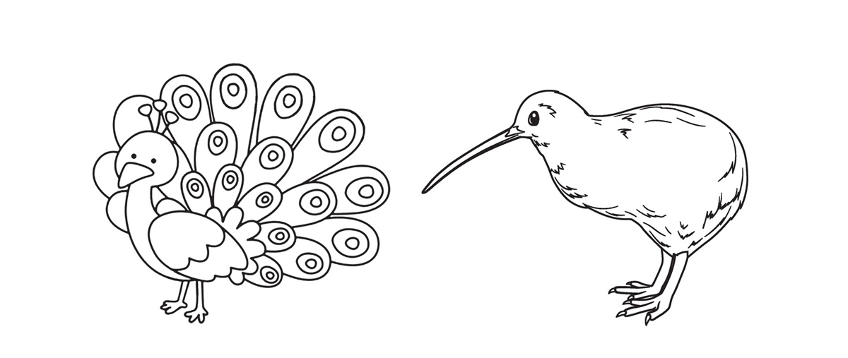 Arranged Food and Objects