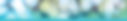 dappled light header.jpg