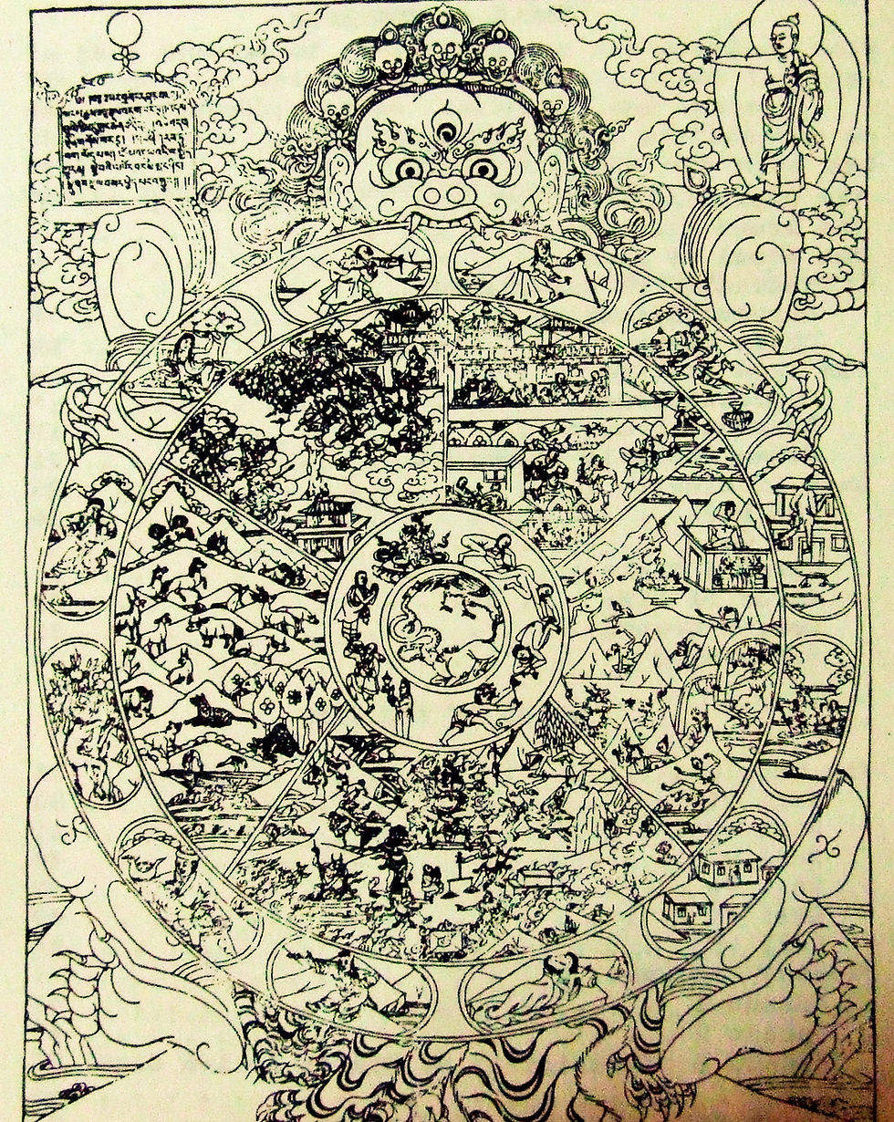 DSCF3061 (3).JPG