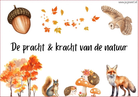 Thema: De pracht en de kracht van de natuur