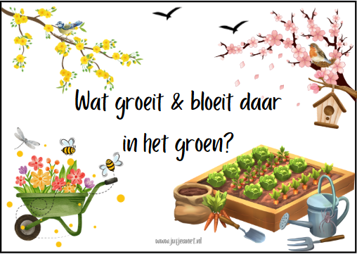 Thema: Wat groeit & bloeit daar in het groen?