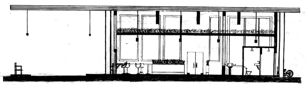 Section