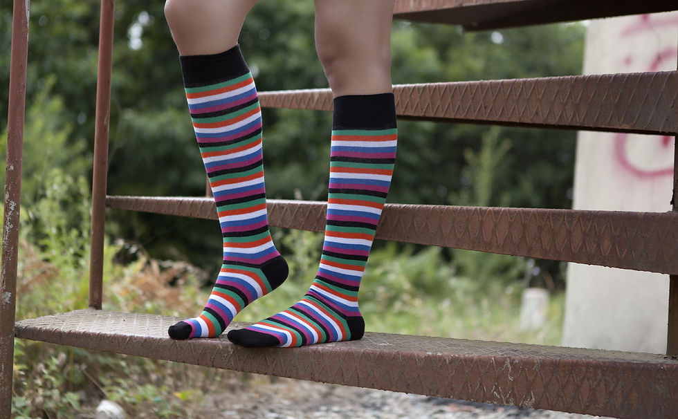 Thumbnail: Women's Blackish Stripe Knee High Socks