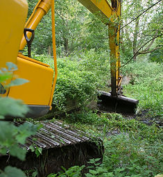 nuthatch in snow.jpg