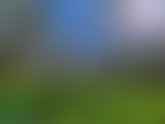 Two Areas, One Wild Camp: Introducing The Wildacre and The Old Thorn