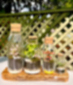 Thumbnail: Medium cylinder bottle terrarium