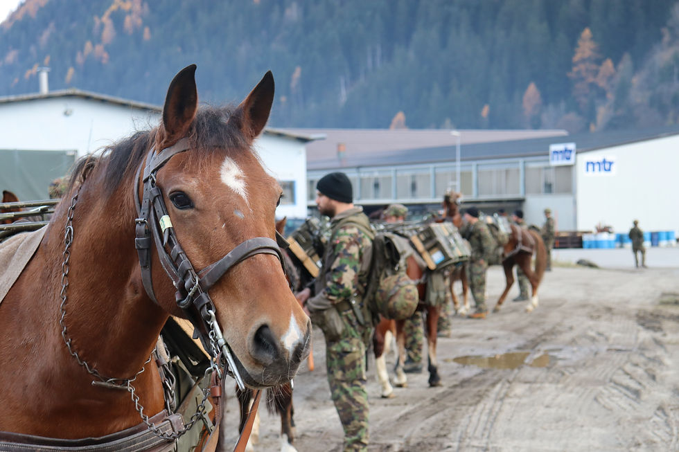 CR 2023 - COL TR 13/1