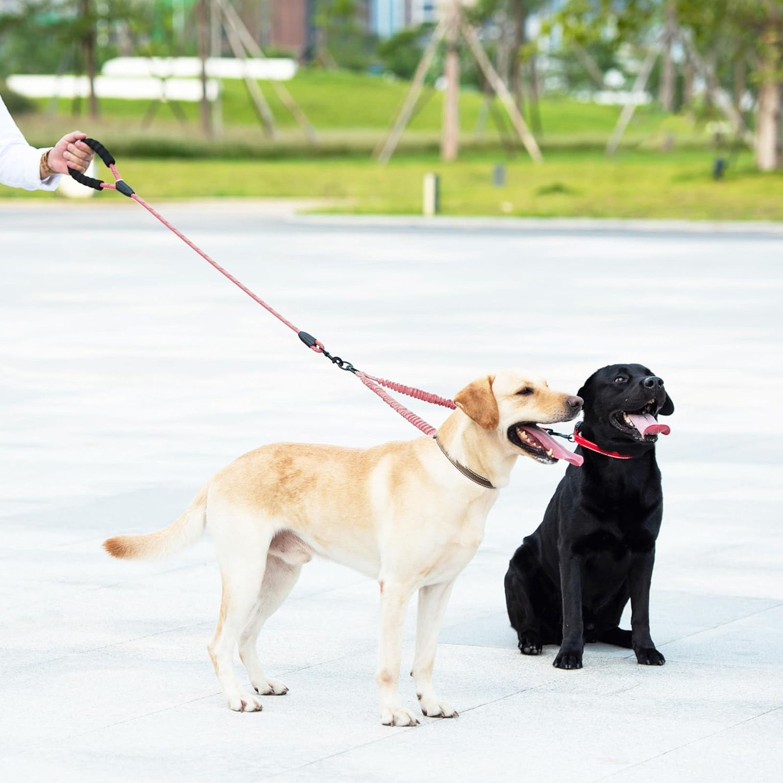 Reflective Double-Ended Dog Leash | 2-Way Control & Training