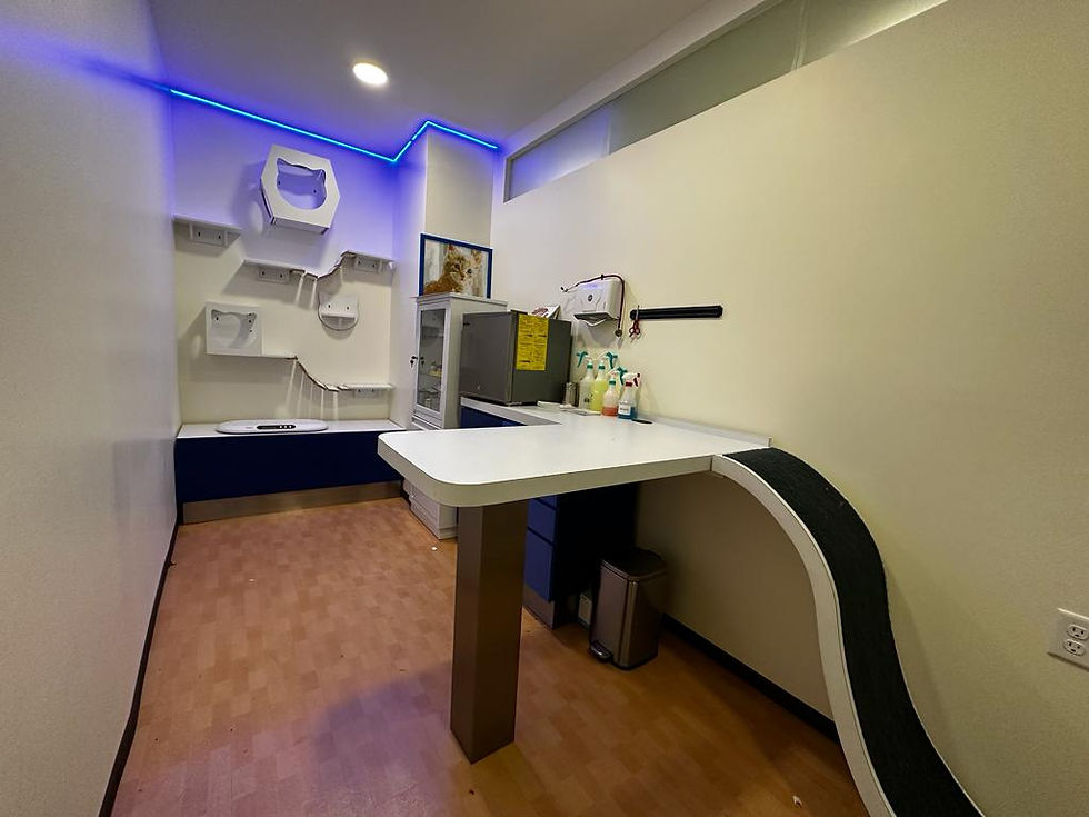 Imagen de WhatsApp 2023-01-09 a las 14.31.20