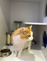 Imagen de WhatsApp 2022-12-28 a las 14.25.48.jpg