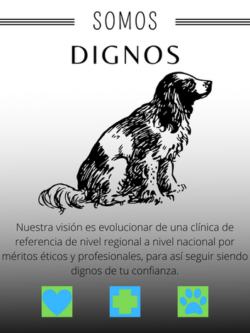 Copia de Limpieza ambiental y reciclaje con ilustraciones de plantas coloridas con degrada