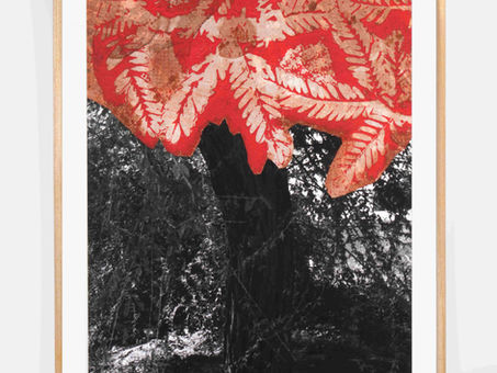 Tashkeel Presents Unfolding, A Solo Exhibition by Moza Al Falasi