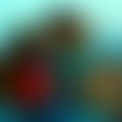 فيلم 'وين ياخذنا الريح' لأمال القلاتي : بين جمالية الصورة وثقل الواقع