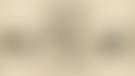 Conformément à ses vœux, il repose aujourd'hui dans le vestibule d'entrée de l'Institut Pasteur de Tunis. Sur la dalle de marbre, une sculpture discrète résume toute sa vie : un rameau de pommier, symbole de ses racines normandes, est entrelacé pour l'éternité avec une branche d'olivier, symbole de sa Tunisie d'adoption. C'était Charles Nicolle, un immense scientifique, un visionnaire qui prédisait déjà l'apparition inévitable de maladies nouvelles, mais surtout un homme de cœur qui a tant aimé et tant donné au 'pays du jasmin'.