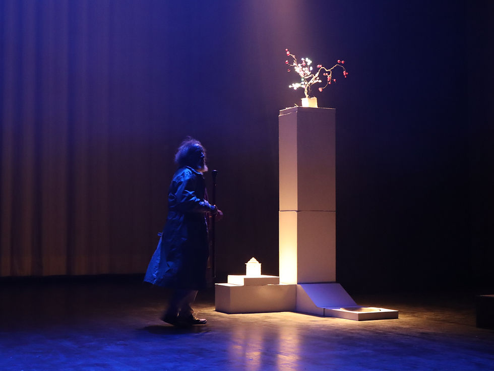 Fathi Akkari dans "Hab Mlouk" (2026) le 16 octobre 2026 à la Cité de la culture à Tunis. Person in a blue coat stands on a dark stage beside a lit pedestal topped with a delicate branch sculpture. Crédit photo : www.culturetunisie.com