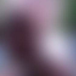 'Promis du ciel' d'Erige Sehiri est au final un film à recommander, car il nous plonge d'une façon très familière dans la vie de la communauté noire subsaharienne dans notre pays. Son film brise ainsi, par les plans rapprochés qu'il propose, la barrière symbolique et le regard froid que beaucoup d'entre nous portent à ces migrants venant de loin et dont nous ne savons rien sur leur vécu. Sa fluidité et la vitalité de ses personnages malgré les péripéties font de lui un moment inédit du 7ᵉ art.