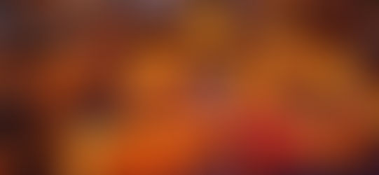 القيروان تنيرها الاحتفالات بالمولد النبوي الشريف