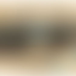 Le(a) voyageur(se) qui flâne au XXIe siècle sur les quais de la lagune, ébloui par la blancheur du marbre et l'éclat des dômes, ne se doute pas qu'il marche au-dessus d'un immense cimetière végétal construit au moyen-âge. Sous ses pieds, dans le silence noir de la vase, repose, en l’occurrence, l'un des plus grands secrets du génie civil médiéval : une forêt entière, inversée et pétrifiée, qui porte à bout de bras la "Sérénissime". Contrairement aux rumeurs virales qui voudraient nous faire croire à une ancienne cité engloutie par une soudaine inondation, la vérité est bien plus fascinante.