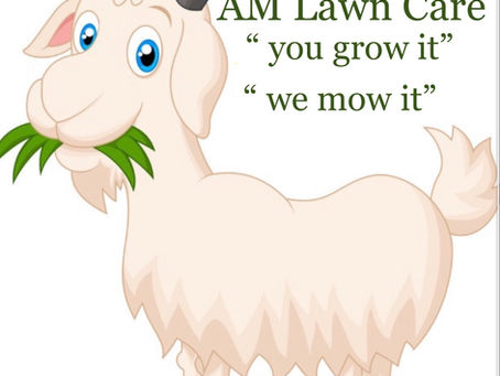 Mowing Maintenance Services