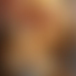 Let Not The Files Be Shrouded in The Sands of the Holy Lands