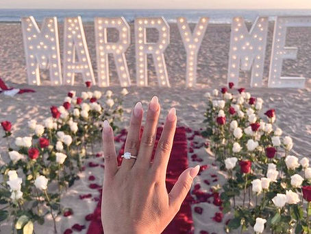 Picnics Toronto Luxury Beach Roses Romantic Proposal