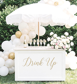 Picnics Toronto drink cart propsals even