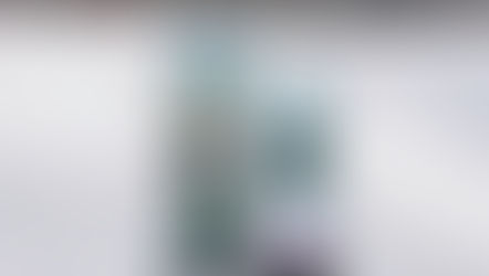 Bir prototipten, tarihi şekillendiren efsaneye: Burton Custom 30 yaşında