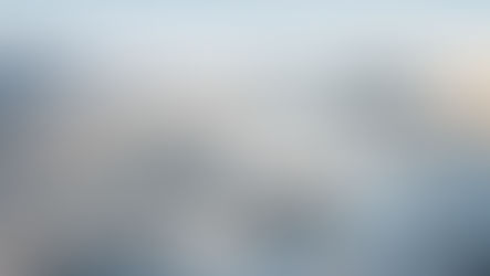 Reed Hastings’in 650 aile ile sınırlı özel kayak merkezi: Powder Haven