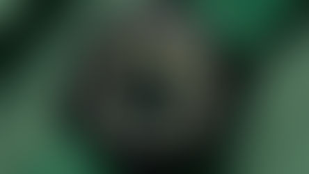 AVI-8'den tarihsel bir saygı duruşu: Smith 24 Hour Automatic Paddy