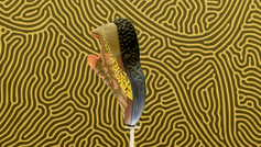 PUMA x Salehe Bembury: Velum, Paris Moda Haftası'nda özel bir lansmanla ilk kez görücüye çıktı