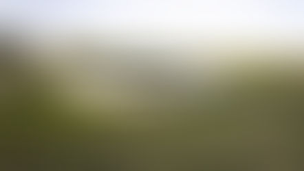 Doğayla bütünleşen şarap deneyimi: Sauska Tokaj