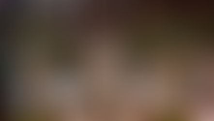 Haliç'in zarafeti: Aliée Istanbul’da özgün bir mola ve zamansız bir konaklama