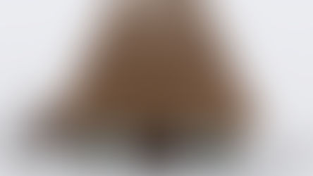 Kültürel miras modern mimariyle buluştu: 'Under the Reed Roof'