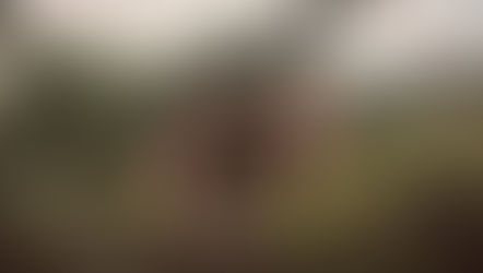 Tuğla ve ışıkla şekillenen mekân: Doğayla bütünleşen ekolojik inziva mimarisi