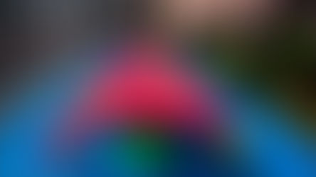 Gastronomi ve tasarım bir arada: We Are Ona'nın pop-up restoran projesi