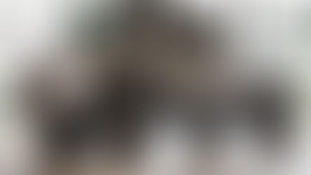 Mercedes'ten 80. yıl sürprizi: Karşınızda dünyanın en lüks Unimog'u!