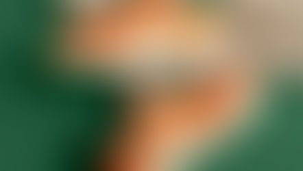 VEJA ve The Social Food'tan çocuklar için renkli ve sürdürülebilir bir koleksiyon: Small Volley