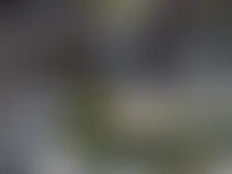 Shenzhen'in yeni silüeti: Zaha Hadid'den sürdürülebilir tasarım Harikası; Yidan Centre