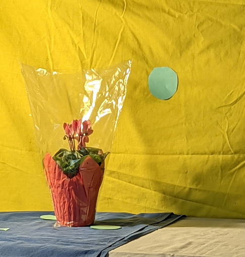 Transparency painting_complementary colors, no ivory black_set up