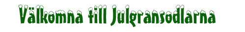 välkommen till julgransodlarna