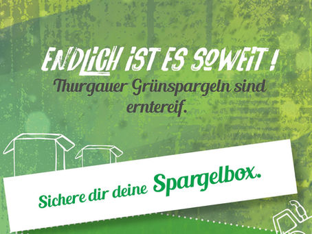 Endlich ist es soweit! Thurgauer Grünspargeln sind erntereif.