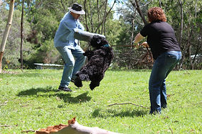Craig A. Murray with Bitework Dog