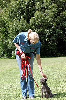 Tracey Murray - Dogschool Obedience