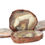 Thumbnail: Sliced Agate Set from Wave Hill